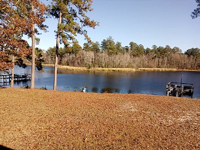 Sockmonkey profile photo