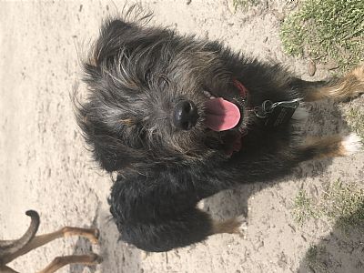 BrendaAdril profile photo