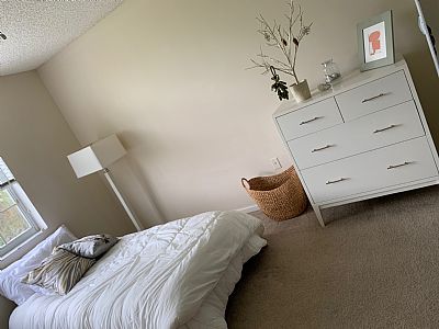 saidivya profile photo