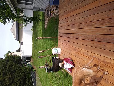 Cassafrass1989 profile photo