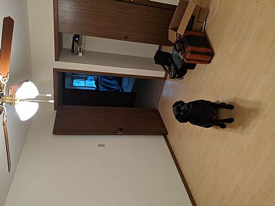 AndrewO profile photo