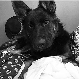 Natalie_rose profile photo