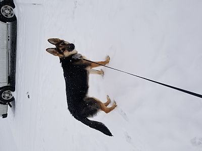 anthonyowens58 profile photo