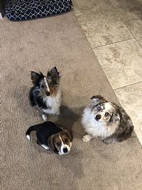 harmonyann92 profile photo