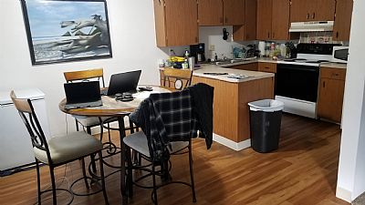 CreativeCanvass profile photo