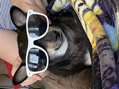 gardabi98 profile photo