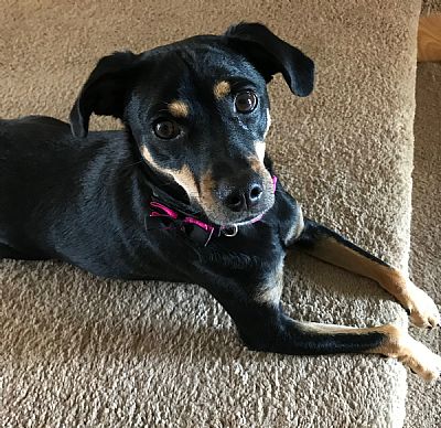 AshleyPenguin profile photo