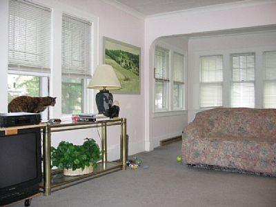 davewny profile photo