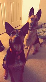 akreiter21 profile photo