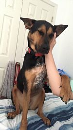 akreiter21 profile photo