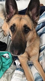 akreiter21 profile photo