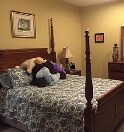 Wytang profile photo