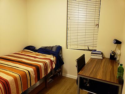 Missboss profile photo