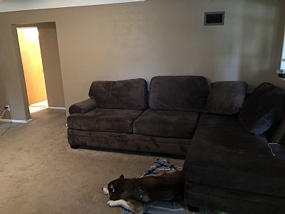 Cececarter profile photo