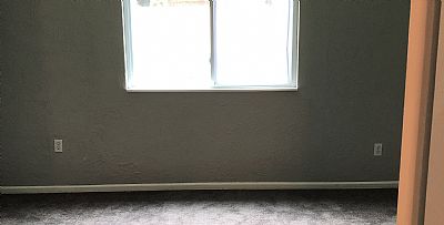 Cececarter profile photo