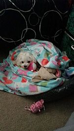 clm900 profile photo