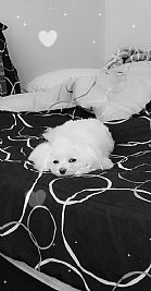 clm900 profile photo