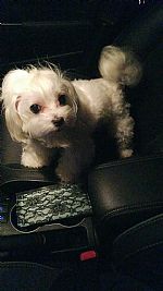 clm900 profile photo