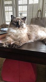 sarabellee123 profile photo