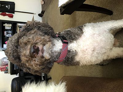 sarabellee123 profile photo