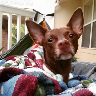 CBailey20 profile photo