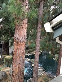 Heathcliff2903 profile photo