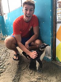 scottywilliam profile photo