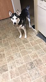 A.Dukes profile photo