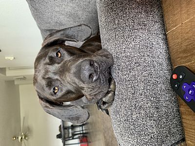 Brookenoel profile photo