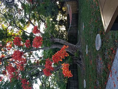 Rachalvarez profile photo