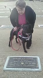 SwanMom4 profile photo