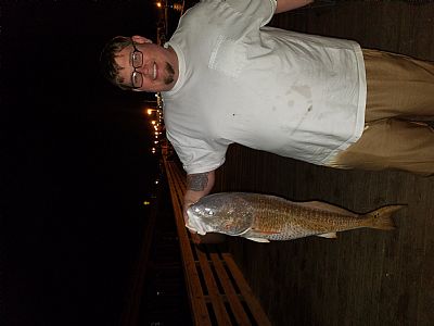 Steven  giacona profile photo