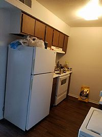 Reza9372 profile photo