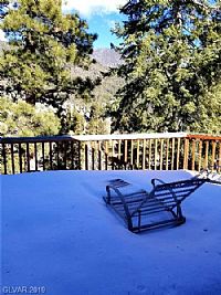 soybean profile photo