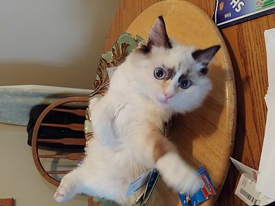 Saravosis profile photo