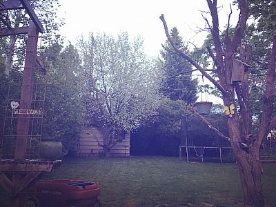 Room4rent450 profile photo