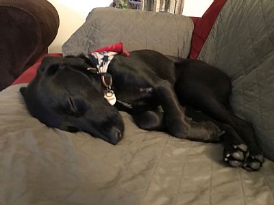 ellier173 profile photo