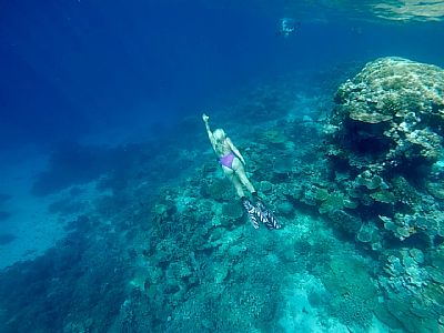 Kaitlyn Green profile photo