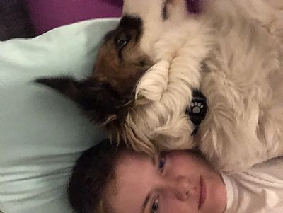 Arrow1 profile photo