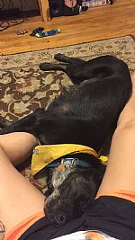 thepeachygamer profile photo