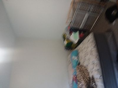 cass8383 profile photo