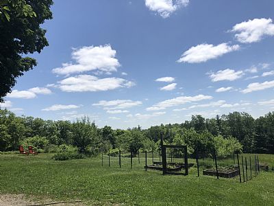 A1Jackson profile photo