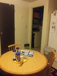 Sheraw profile photo