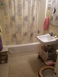 Sheraw profile photo