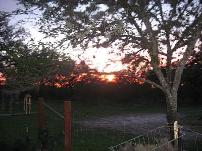 donnakslaughter profile photo