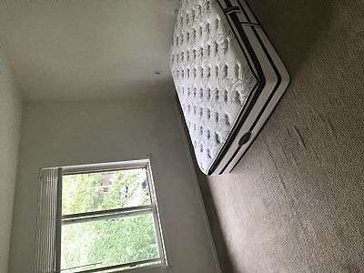 DASroom profile photo