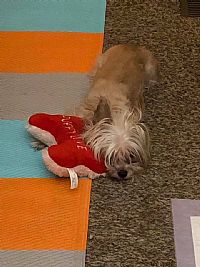 Tenngal82 profile photo