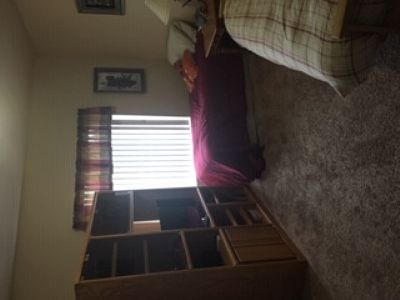 nvantries profile photo