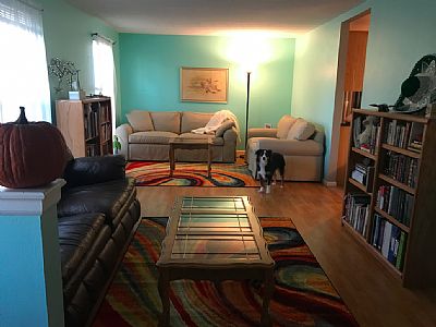 ScienceTeacher profile photo