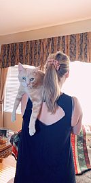 MadisonSteffey profile photo